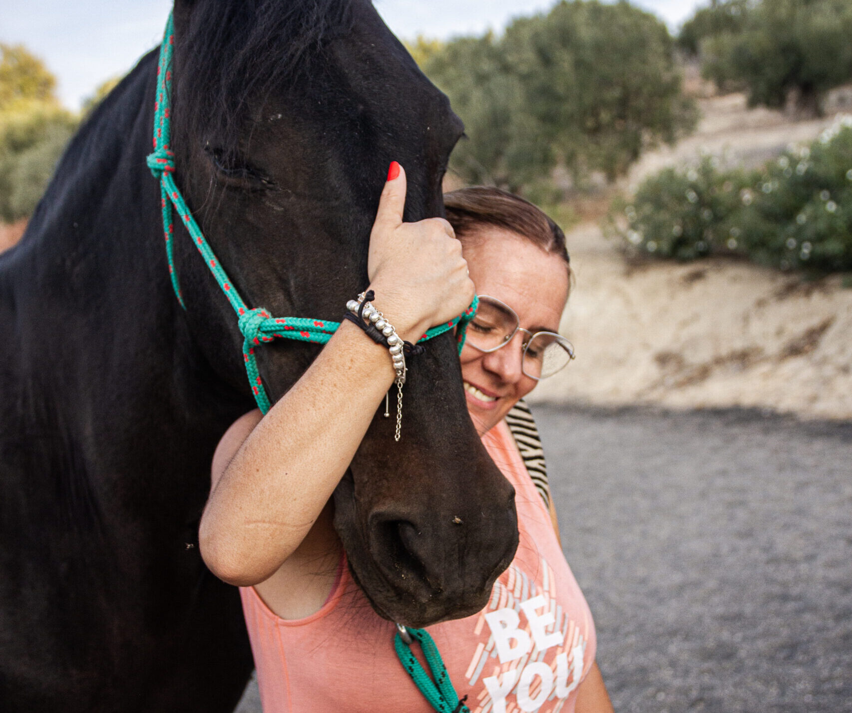 equinoterapia la estribera